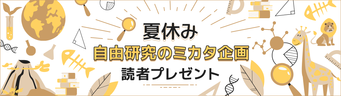 夏休み自由研究のミカタ企画 読者プレゼント