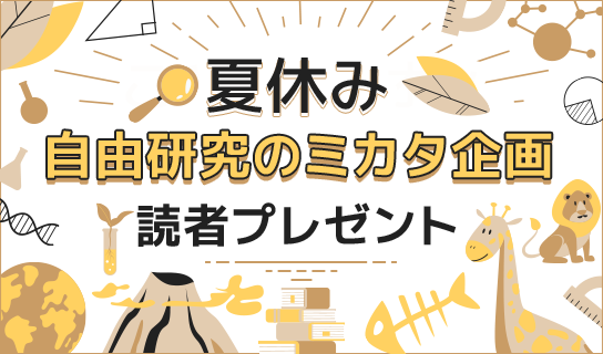 夏休み自由研究のミカタ企画 読者プレゼント